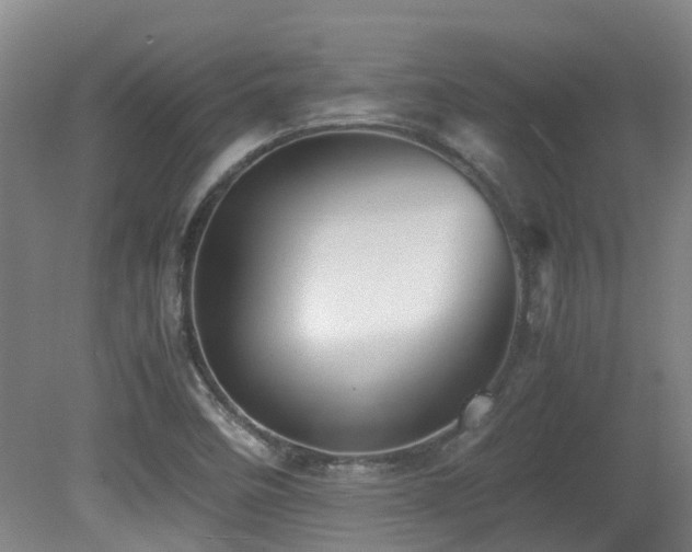 X0000079281458200611171013