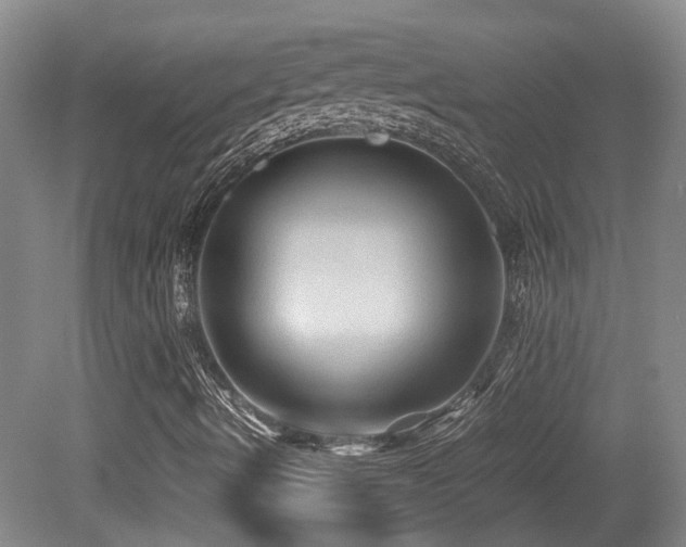 X0000079281490200611171011