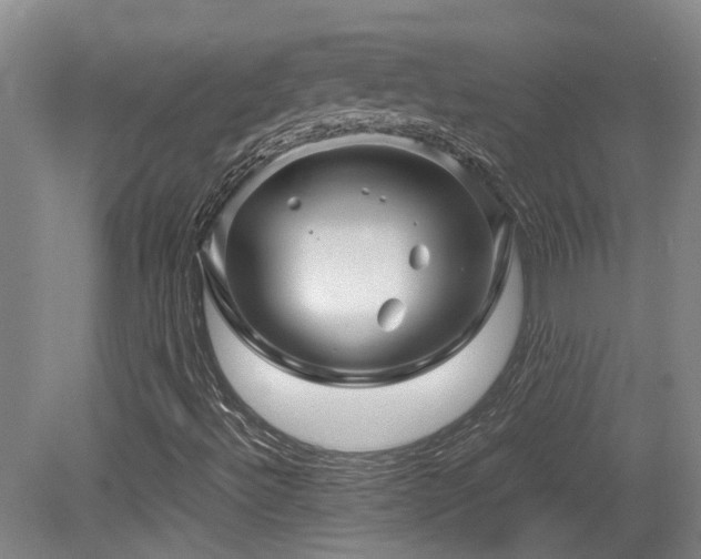 X0000079281492200611171011