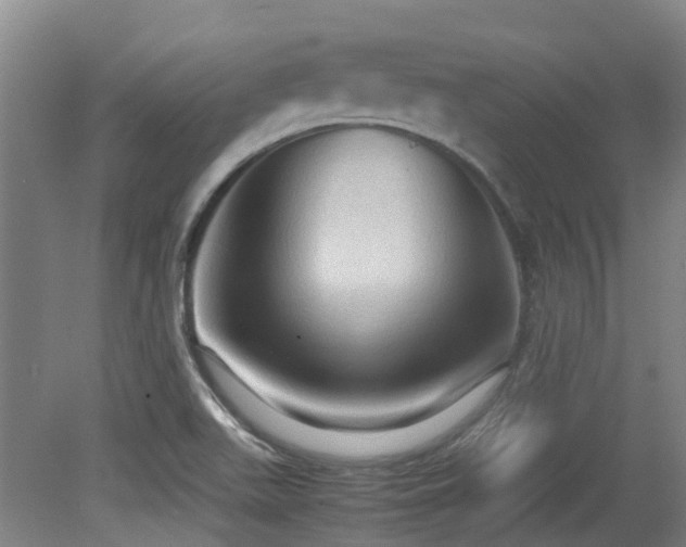 X0000079281511200611171012