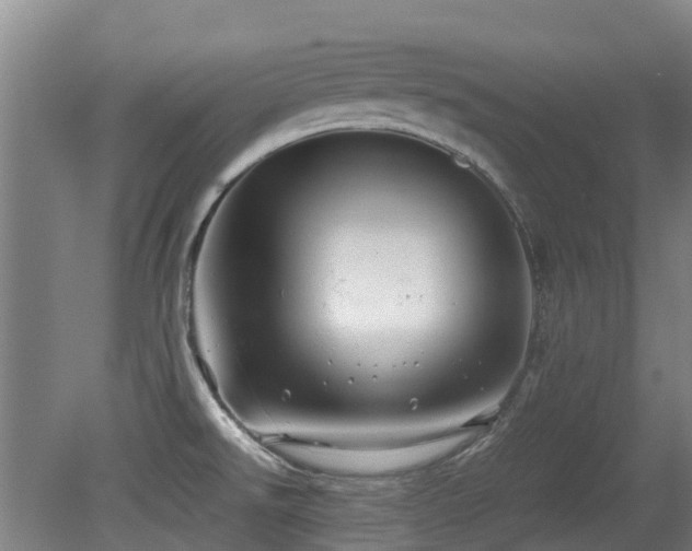 X0000079281526200611171012