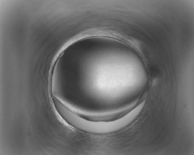X0000079281528200611171012
