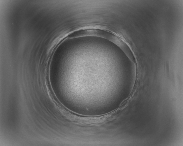 X0000079280001200611251633