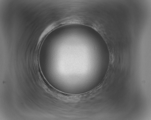 X0000079280004200611251633