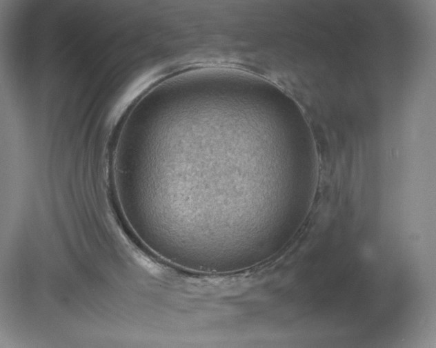 X0000079280005200611251633