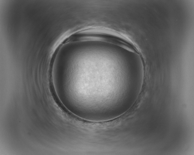 X0000079280007200611251633