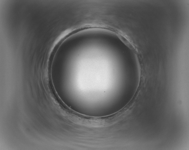 X0000079280008200611251633