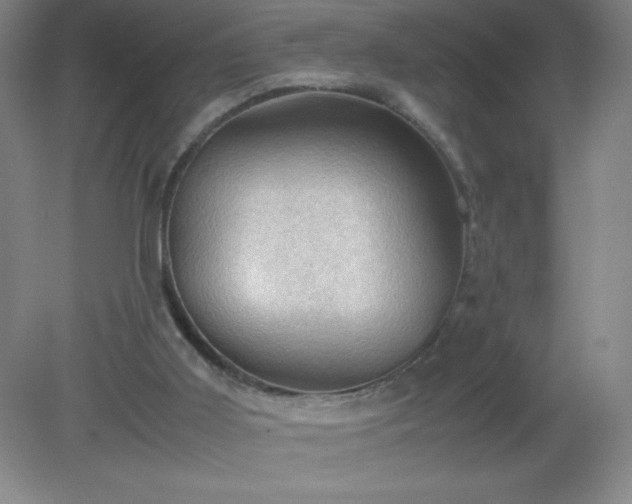 X0000079280011200611251633