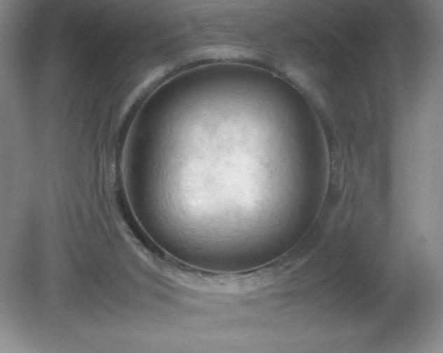 X0000079280015200611251633