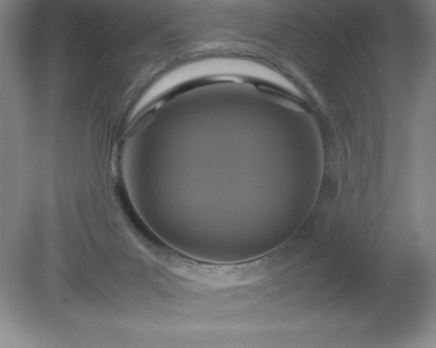 X0000079280023200611251633