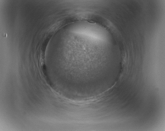 X0000079280029200611251633