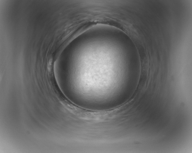 X0000079280033200611251633
