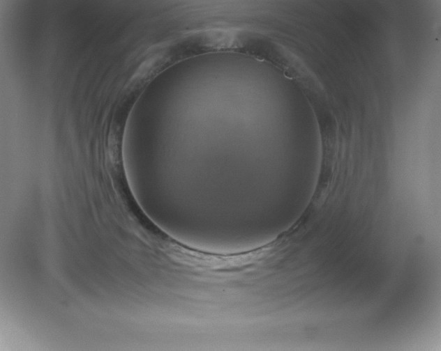 X0000079280035200611251633