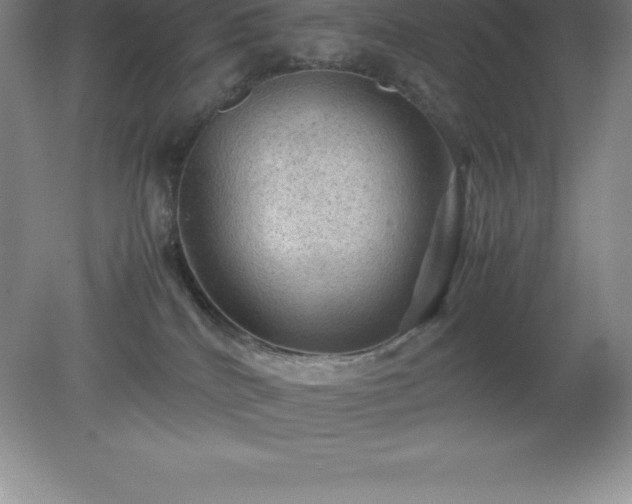 X0000079280040200611251633