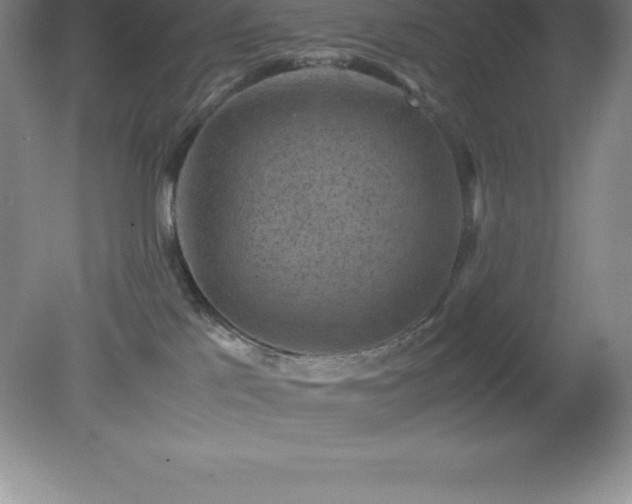 X0000079280041200611251633