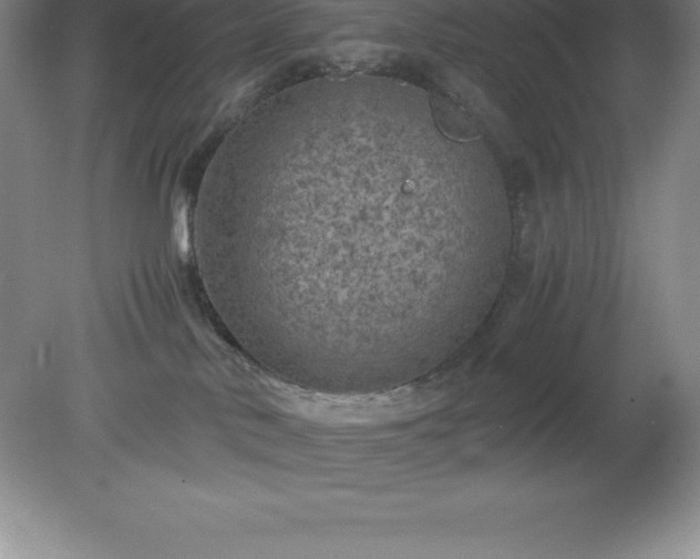 X0000079280042200611251633