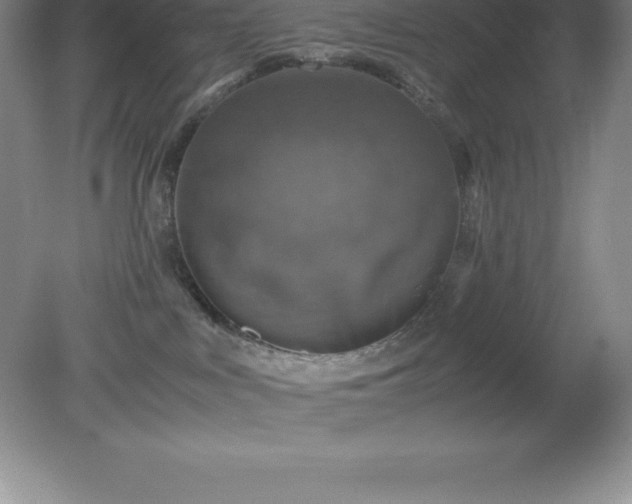 X0000079280043200611251633