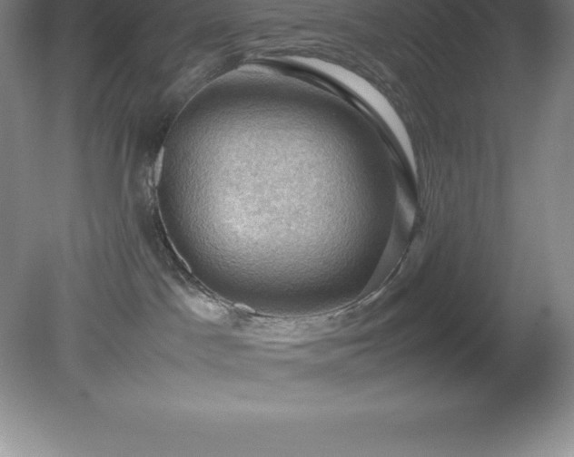 X0000079280045200611251633