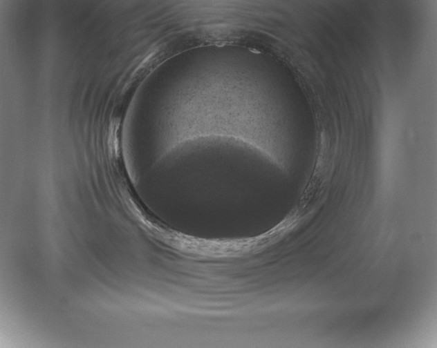 X0000079280048200611251633