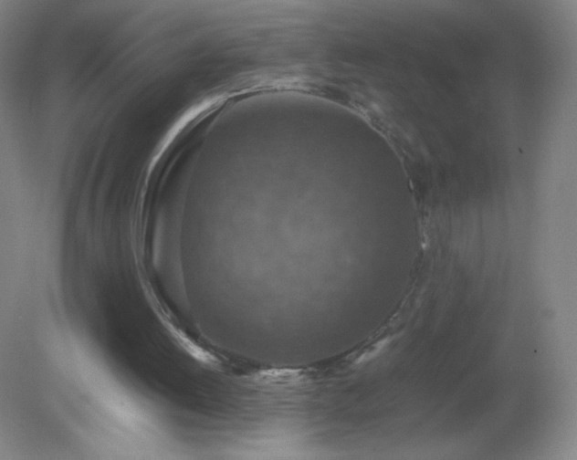 X0000079280052200611251632
