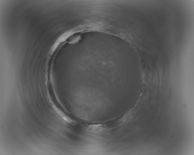 X0000079280054200611251632