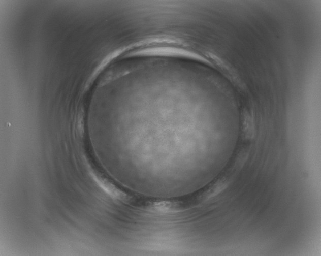 X0000079280064200611251632