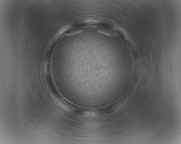 X0000079280071200611251632