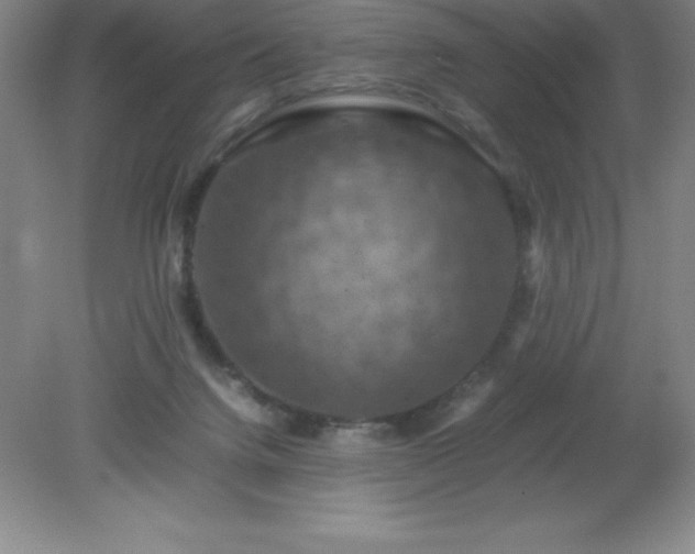 X0000079280072200611251632
