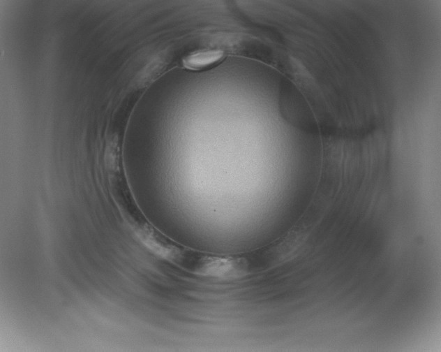 X0000079280083200611251632