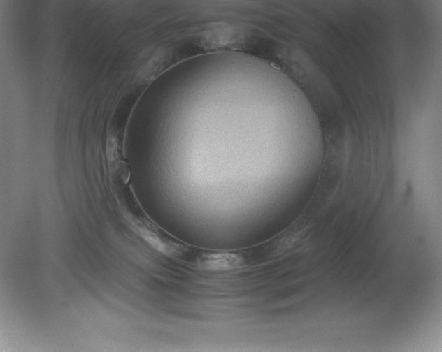 X0000079280087200611251632