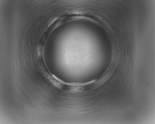 X0000079280096200611251633