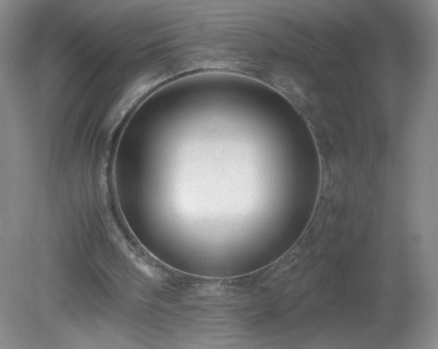 X0000079280098200611251632