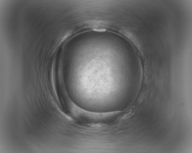 X0000079280105200611251632