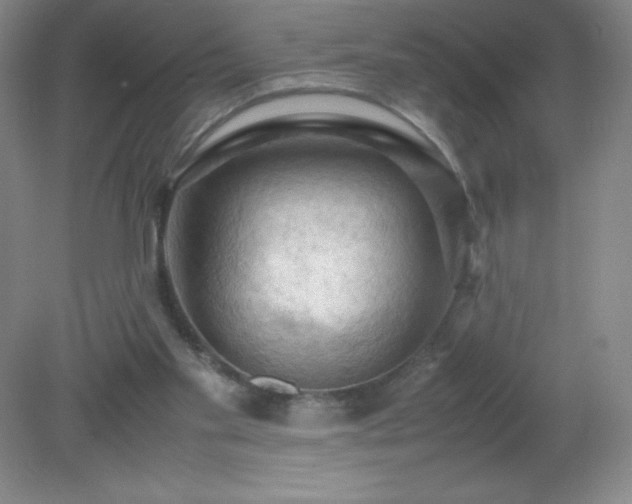X0000079280109200611251632