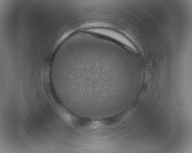 X0000079280111200611251631