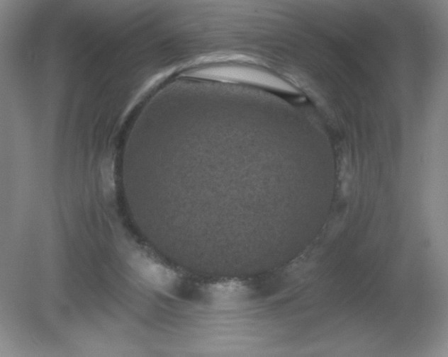 X0000079280112200611251631