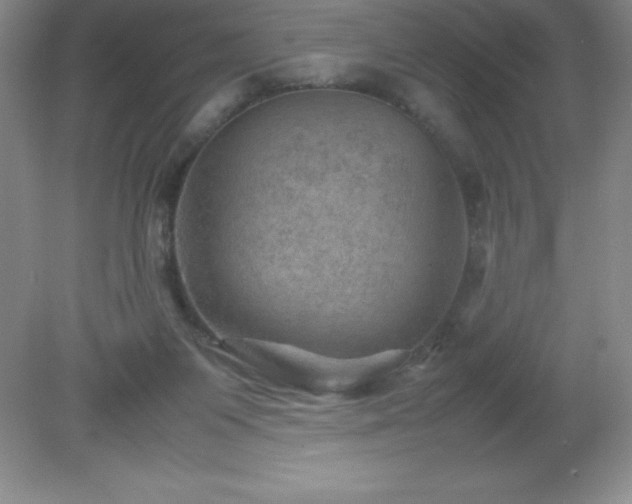 X0000079280119200611251631