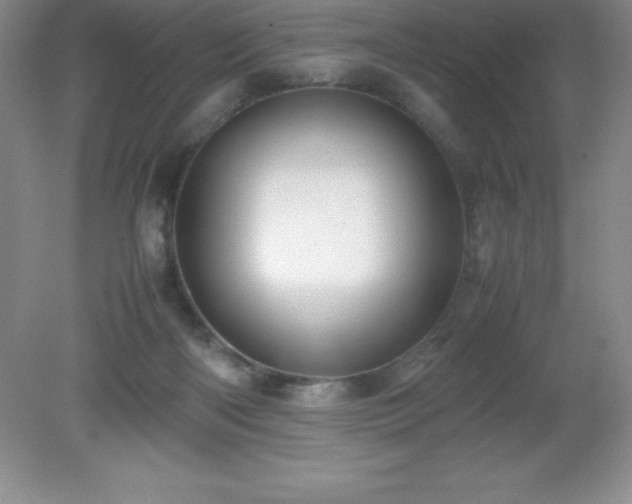 X0000079280122200611251631