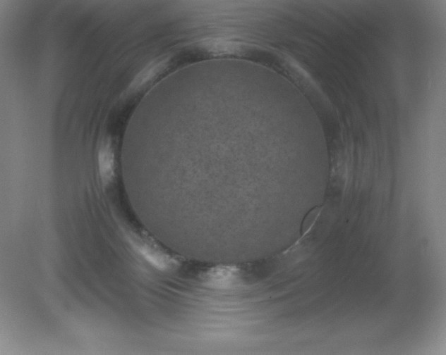 X0000079280124200611251631