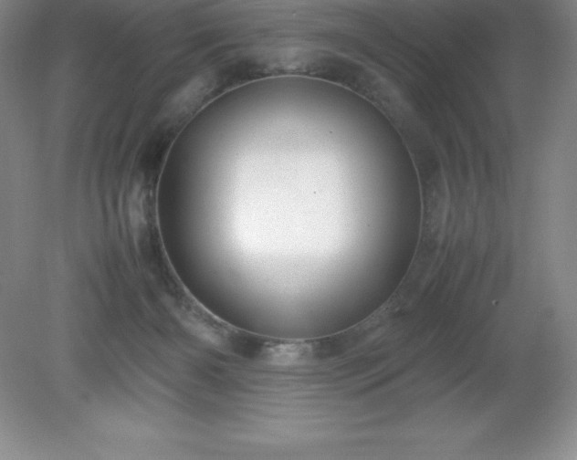 X0000079280126200611251631