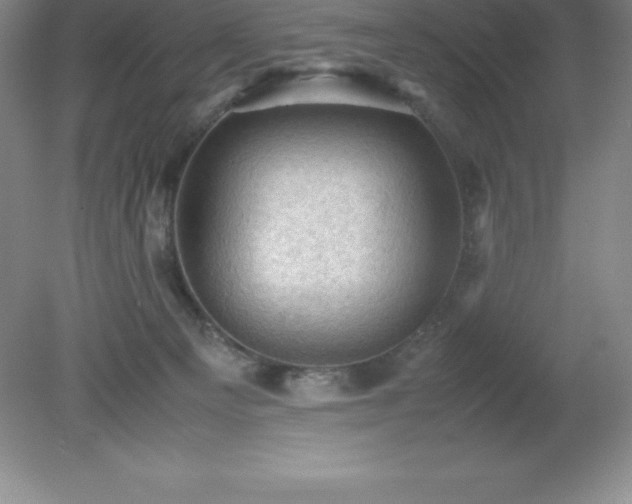 X0000079280129200611251631