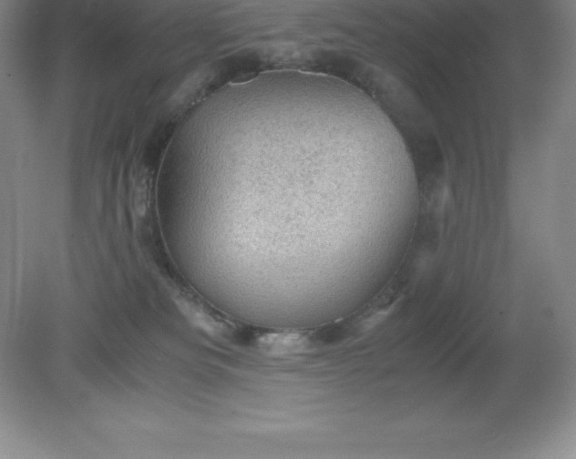 X0000079280133200611251631
