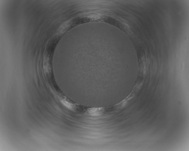 X0000079280136200611251631