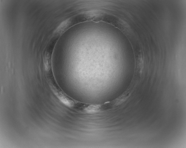 X0000079280138200611251631