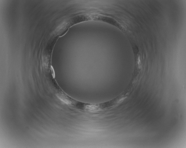 X0000079280139200611251631
