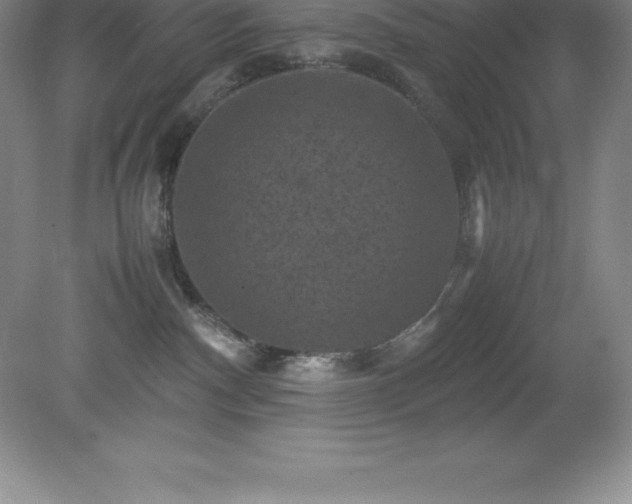 X0000079280140200611251631