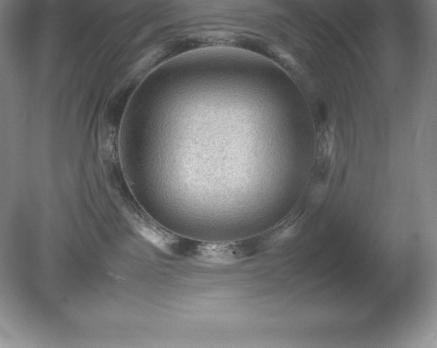 X0000079280141200611251631