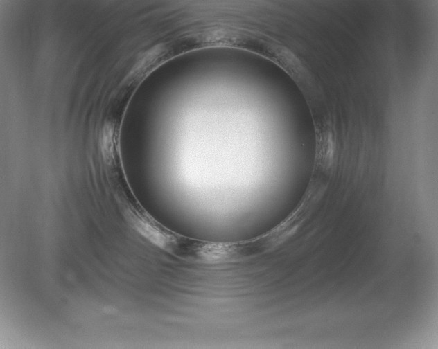 X0000079280142200611251631