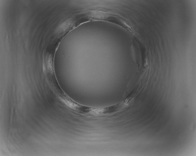 X0000079280143200611251631
