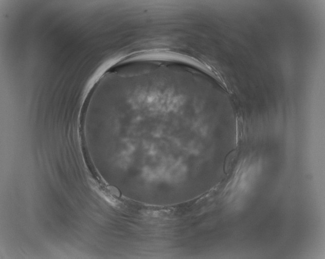 X0000079280147200611251630